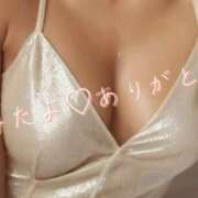 ヒメ日記 2025/09/17 13:57 投稿 えみ 性腺熟女100％（デリヘル市場）