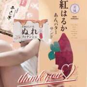 ヒメ日記 2025/11/17 02:11 投稿 えみ 性腺熟女100％（デリヘル市場）