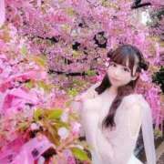 ヒメ日記 2025/03/13 18:32 投稿 ことり【至極究極のＩカップ】 STELLA TOKYO－ステラトウキョウ－