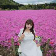 ヒメ日記 2025/05/10 19:14 投稿 ことり【至極究極のＩカップ】 STELLA TOKYO－ステラトウキョウ－