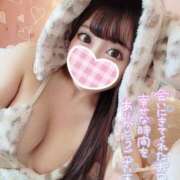 ヒメ日記 2025/09/15 23:12 投稿 ことり【至極究極のＩカップ】 STELLA TOKYO－ステラトウキョウ－