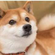 ヒメ日記 2026/02/22 04:19 投稿 ゆいな ダイスキ