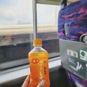 ヒメ日記 2025/02/19 11:40 投稿 まひる 性腺熟女100％（デリヘル市場）