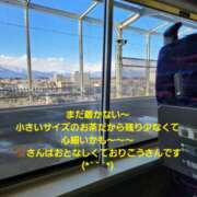 ヒメ日記 2025/02/19 13:40 投稿 まひる 性腺熟女100％（デリヘル市場）