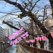 ヒメ日記 2025/03/18 22:25 投稿 まひる 性腺熟女100％（デリヘル市場）