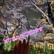 ヒメ日記 2025/04/08 19:20 投稿 まひる 性腺熟女100％（デリヘル市場）