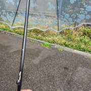 ヒメ日記 2026/04/15 22:00 投稿 まひる 性腺熟女100％本店（デリヘル市場）