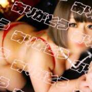 ヒメ日記 2025/02/26 12:29 投稿 れい 多治見・土岐・春日井ちゃんこ