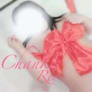 ヒメ日記 2025/11/04 20:19 投稿 れい 多治見・土岐・春日井ちゃんこ