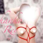 ヒメ日記 2025/11/27 19:09 投稿 れい 多治見・土岐・春日井ちゃんこ