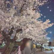 ヒメ日記 2026/04/11 22:07 投稿 月島 鶯谷人妻城