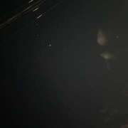 ヒメ日記 2025/12/22 03:59 投稿 マキ 姫路ラビット