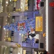 ヒメ日記 2025/12/27 03:30 投稿 マキ 姫路ラビット