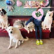 ヒメ日記 2025/01/14 17:22 投稿 松永 鶯谷人妻城