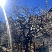 ヒメ日記 2025/02/24 11:40 投稿 松永 鶯谷人妻城