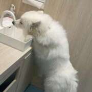 ヒメ日記 2025/02/27 10:35 投稿 松永 鶯谷人妻城