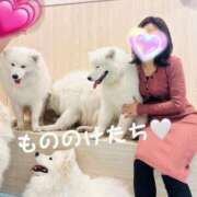 ヒメ日記 2025/02/27 10:33 投稿 松永 鶯谷人妻城