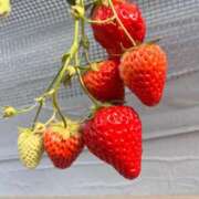 ヒメ日記 2025/03/01 14:40 投稿 松永 鶯谷人妻城