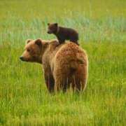 ヒメ日記 2025/07/16 14:16 投稿 松永 鶯谷人妻城