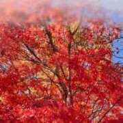 ヒメ日記 2026/01/09 07:41 投稿 松永 鶯谷人妻城