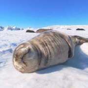 ヒメ日記 2026/02/05 06:59 投稿 松永 鶯谷人妻城