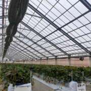 ヒメ日記 2026/02/07 12:55 投稿 松永 鶯谷人妻城