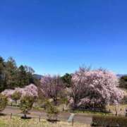 ヒメ日記 2026/04/12 13:41 投稿 松永 鶯谷人妻城