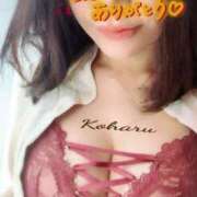 ヒメ日記 2025/10/15 01:20 投稿 広瀬こはる 月の真珠-五反田-