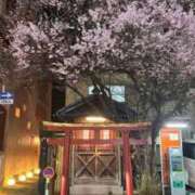 ヒメ日記 2025/04/05 11:25 投稿 ろざりー サンキュー仙台店