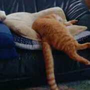 ヒメ日記 2025/06/17 21:55 投稿 ろざりー サンキュー仙台店