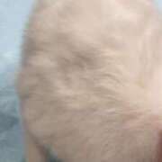 ヒメ日記 2025/06/26 15:04 投稿 ろざりー サンキュー仙台店