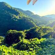 ヒメ日記 2025/07/31 06:45 投稿 ろざりー サンキュー仙台店