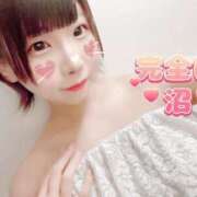 ヒメ日記 2025/01/26 14:45 投稿 さつき 帯広アニバーサリー