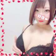 ヒメ日記 2025/11/04 18:55 投稿 さつき 帯広アニバーサリー