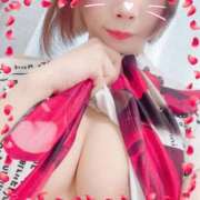 ヒメ日記 2026/04/10 19:45 投稿 さつき 帯広アニバーサリー