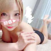 ヒメ日記 2026/06/06 17:45 投稿 さつき 帯広アニバーサリー