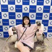 ヒメ日記 2025/11/22 21:39 投稿 らて 帯広黒い金魚