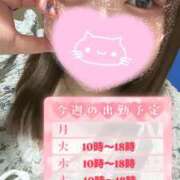 ヒメ日記 2024/12/09 23:10 投稿 りほ サンキュー町田・相模原店