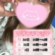 ヒメ日記 2024/12/29 12:15 投稿 りほ サンキュー町田・相模原店