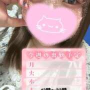 ヒメ日記 2025/01/15 15:39 投稿 りほ サンキュー厚木店