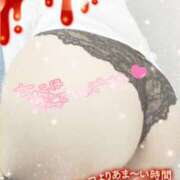 ヒメ日記 2024/02/14 07:45 投稿 ののは consolation