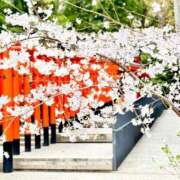 ヒメ日記 2025/04/02 14:21 投稿 真木　れいみ NADIA神戸店