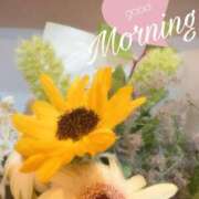 ヒメ日記 2025/05/15 08:31 投稿 真木　れいみ NADIA神戸店