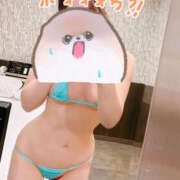 ヒメ日記 2025/02/25 11:04 投稿 佐々木まい ドクトル・ストレッチ