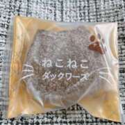 ヒメ日記 2025/09/02 11:03 投稿 佐々木まい ドクトル・ストレッチ