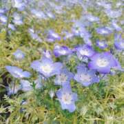 佐々木まい 出勤します❀︎ ドクトル・ストレッチ