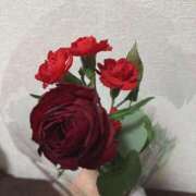 ヒメ日記 2024/12/24 01:34 投稿 すずか 美熟女倶楽部Hip's 春日部店