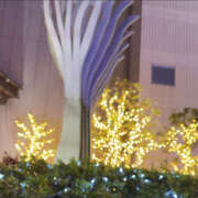 ヒメ日記 2024/12/26 16:24 投稿 すずか 美熟女倶楽部Hip's 春日部店