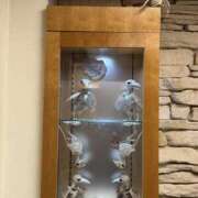 ヒメ日記 2025/03/08 08:18 投稿 すずか 美熟女倶楽部Hip's 春日部店