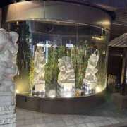 ヒメ日記 2025/03/27 13:44 投稿 すずか 美熟女倶楽部Hip's 春日部店